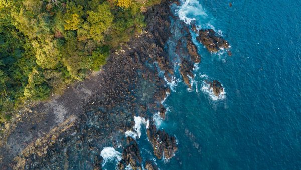 日本沿岸域を対象とした地表面粗度長に対するWRF風速の感度実験 